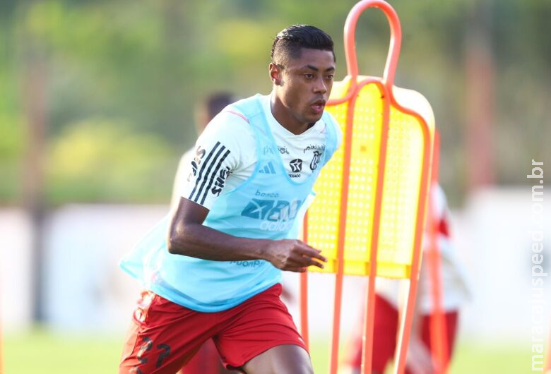 Na luta pelo título Brasileiro, Botafogo, Fla e Bragantino entram em campo hoje