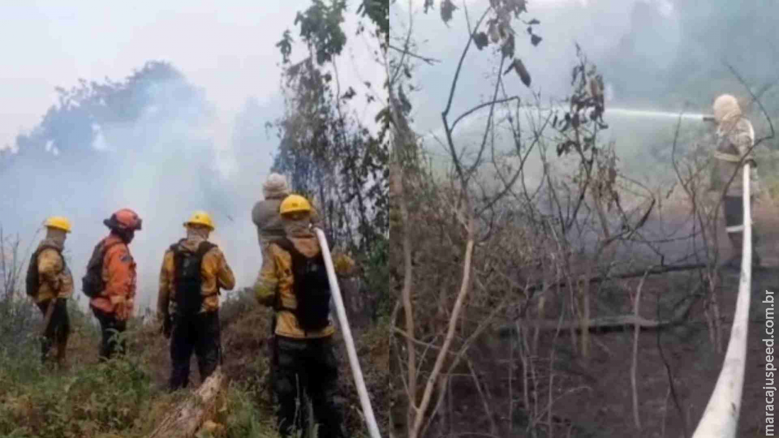 Pantanal tem 691 mil hectares queimados em Mato Grosso do Sul, 216% a mais que em 2022