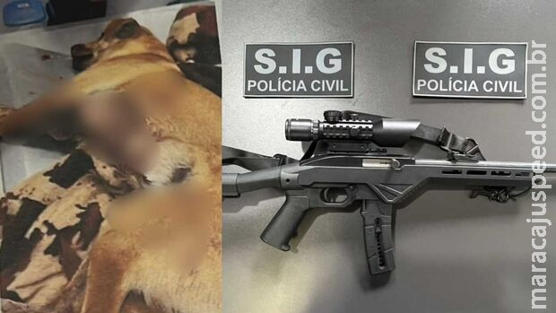 Rifle usado para atirar em cachorro é apreendido em Novo Horizonte do Sul Rifle usado para atirar em cachorro é apreendido em Novo Horizonte do Sul