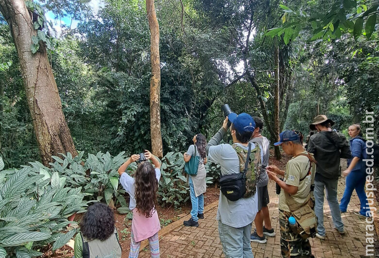 Rota Pantanal Bonito promove a observação de aves no feriado