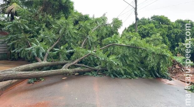 Temporal deixa rastro de destruição em Nova Alvorada do Sul Temporal deixa rastro de destruição em Nova Alvorada do Sul