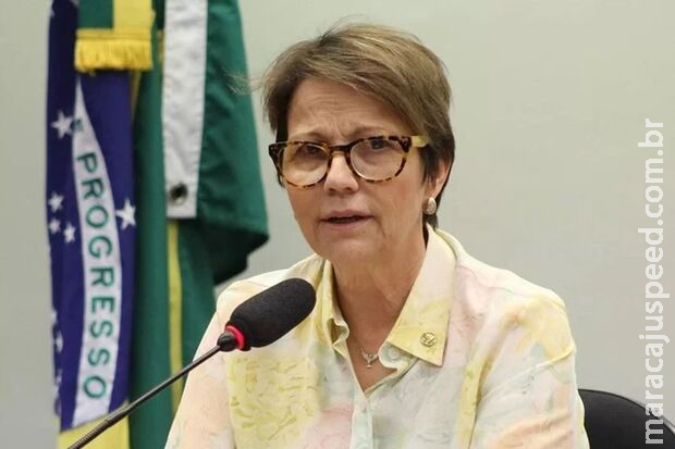Teresa Cristina pode ser indicada como relatora de PEC contra o STF