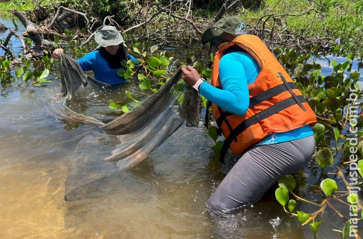A bordo de navio da Marinha, pesquisadores do Bioparque desbravam o Pantanal em expedição