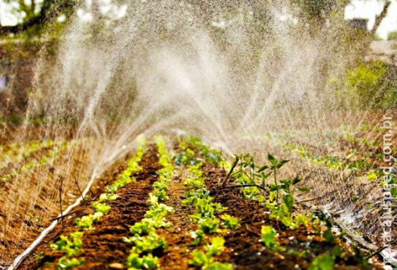 Agricultura familiar de MS terá mais R$ 4 milhões no Programa de Aquisição de Alimentos Agricultura familiar de MS terá mais R$ 4 milhões no Programa de Aquisição de Alimentos