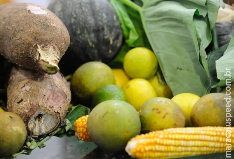 Agrotóxicos: 25% dos alimentos de origem vegetal no país têm resíduos Agrotóxicos: 25% dos alimentos de origem vegetal no país têm resíduos