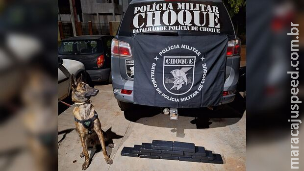 Bolivianos são presos com 14 tabletes de substância análoga a cocaína em Campo Grande Bolivianos são presos com 14 tabletes de substância análoga a cocaína em Campo Grande