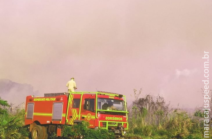 Com treinamento e tecnologia, atuação dos bombeiros é destaque no combate a incêndios florestais Com treinamento e tecnologia, atuação dos bombeiros é destaque no combate a incêndios florestais