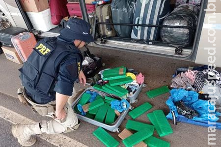 Em Sidrolândia Menores são detidas em Ônibus da Viação Cruzeiro do Sul por Tráfico de Drogas Em Sidrolândia Menores são detidas em Ônibus da Viação Cruzeiro do Sul por Tráfico de Drogas