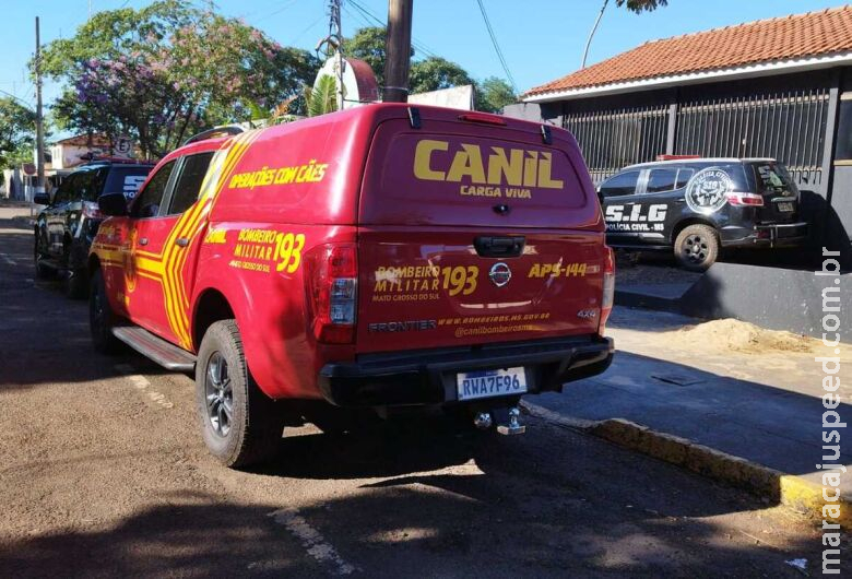Equipe da capital com cadela especialista em busca de pessoas procura corpo em Dourados Equipe da capital com cadela especialista em busca de pessoas procura corpo em Dourados
