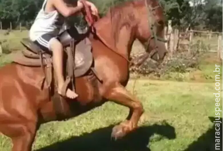 Família de garoto de 10 anos nega que morte foi por picada de escorpião