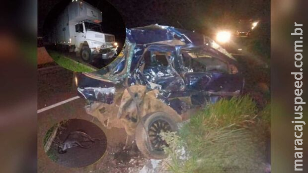 Família morre ao bater carro em caminhão na BR-262, em Ribas do Rio Pardo Família morre ao bater carro em caminhão na BR-262, em Ribas do Rio Pardo