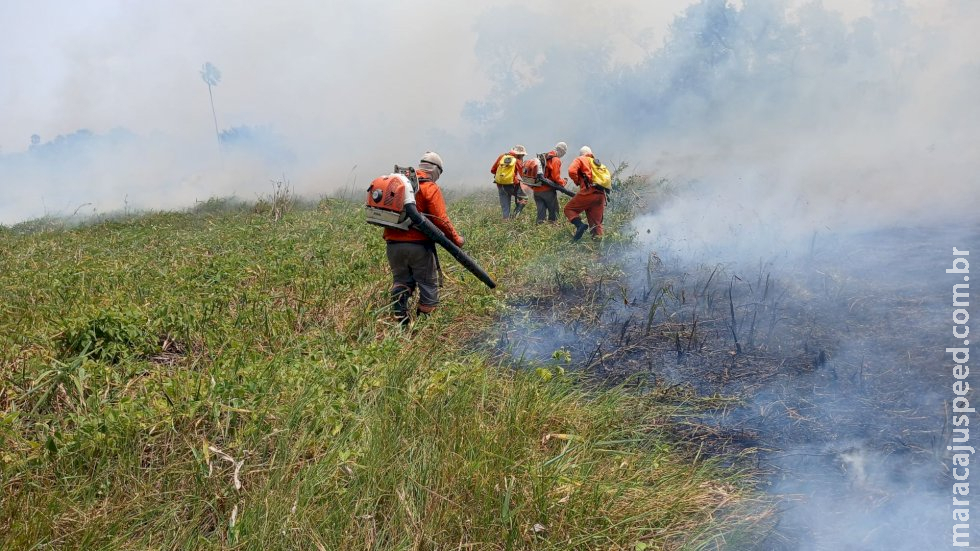 Fazenda que espalhou fogo em 69 imóveis no Pantanal da Nhecolândia é multada em R$ 19 milhões Fazenda que espalhou fogo em 69 imóveis no Pantanal da Nhecolândia é multada em R$ 19 milhões
