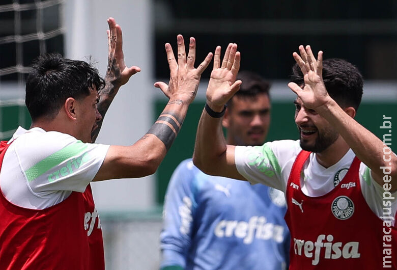 Final do Brasileirão tem Palmeiras com as mãos na taça e três times lutando contra a Série B