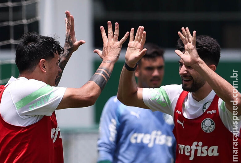 Final do Brasileirão tem Palmeiras com as mãos na taça e três times lutando contra a Série B Final do Brasileirão tem Palmeiras com as mãos na taça e três times lutando contra a Série B