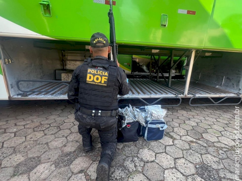 Genro e sogra que seguiam com droga para o Paraná são presos na MS-295 Genro e sogra que seguiam com droga para o Paraná são presos na MS-295