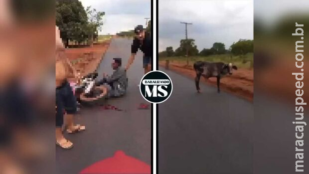 Homem morre após bater moto em vaca em Sidrolândia