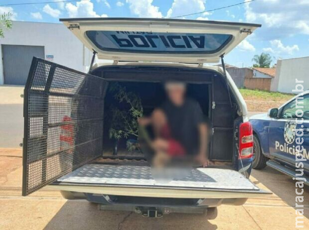 Jovem que ostentava plantio de maconha nas redes sociais é preso em Três Lagoas Jovem que ostentava plantio de maconha nas redes sociais é preso em Três Lagoas