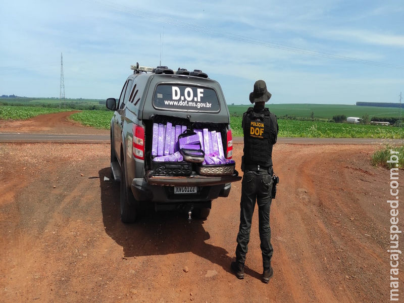 Maracaju: DOF apreende droga que seria levada para Rondônia e prende duas mulheres Maracaju: DOF apreende droga que seria levada para Rondônia e prende duas mulheres