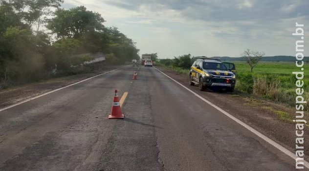 Motorista morre em colisão frontal entre carro e caminhão na BR-262 Motorista morre em colisão frontal entre carro e caminhão na BR-262