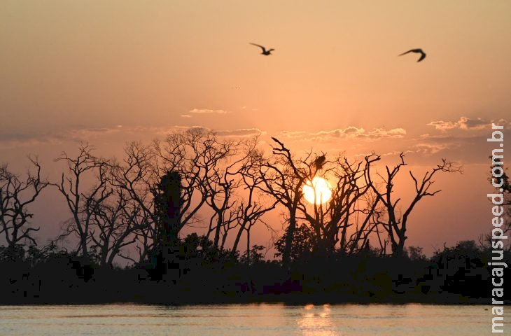 Nesta sexta-feira, sol retorna ao MS mas probabilidade de chuvas não deixa o estado