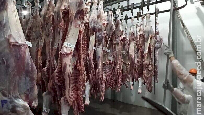 Número de abates de gado e aves cai, enquanto os de suínos crescem em Mato Grosso do Sul