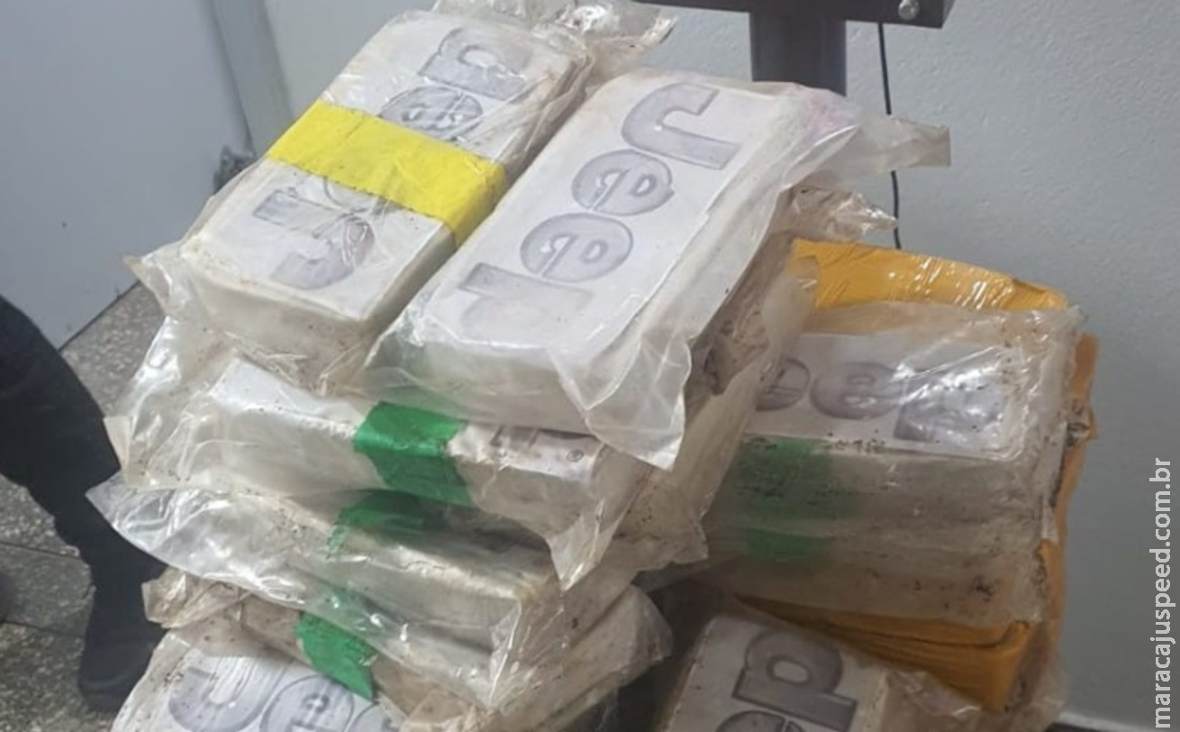 Polícia Civil incinera 68,1 kg de pasta base e cocaína em Rio Verde Polícia Civil incinera 68,1 kg de pasta base e cocaína em Rio Verde