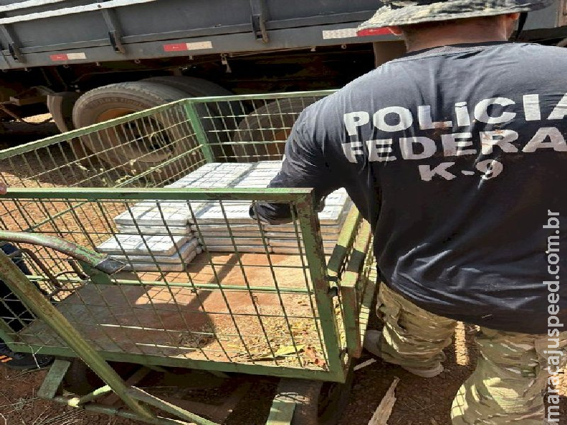 Polícia Federal apreende 223 quilos de cocaína em Deodápolis Polícia Federal apreende 223 quilos de cocaína em Deodápolis