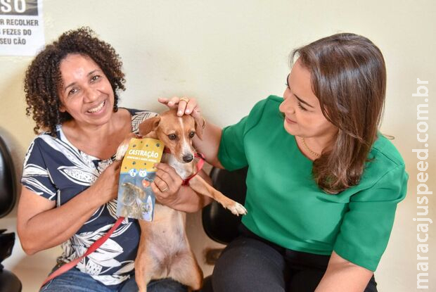 Prefeitura vai ampliar projeto de castração para cães acima de 25kg