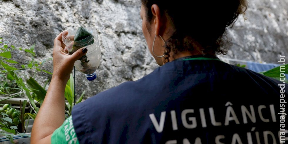 Saúde abre consulta pública sobre inclusão de vacina da dengue no SUS Saúde abre consulta pública sobre inclusão de vacina da dengue no SUS