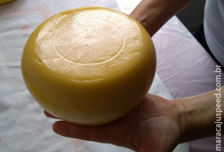 Seminário discute políticas públicas para o queijo artesanal