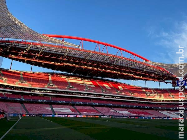 Torcedor é esfaqueado na arquibancada durante jogo do Benfica Torcedor é esfaqueado na arquibancada durante jogo do Benfica