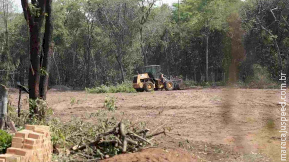 Após acordo com MPMS liberar desmatamento no Parque, ambientalistas fazem protesto para barrar decisão Após acordo com MPMS liberar desmatamento no Parque, ambientalistas fazem protesto para barrar decisão