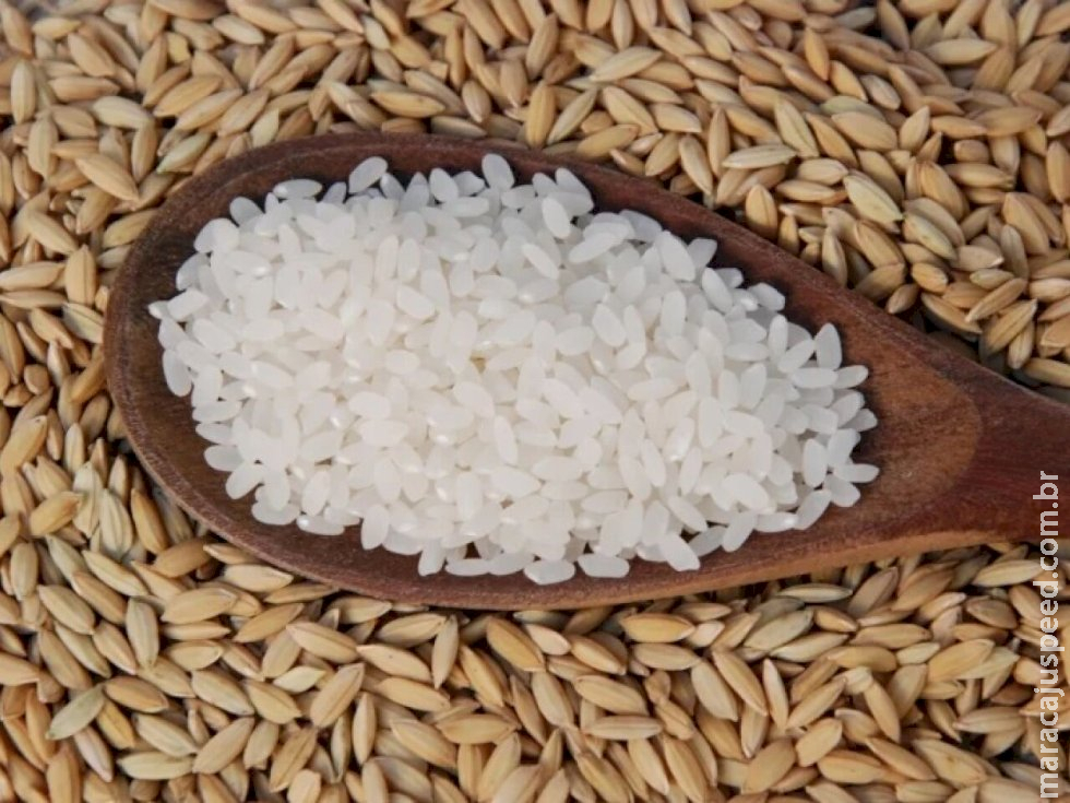 Arroz mais caro; preços ao consumidor subiram quase 25% em um ano