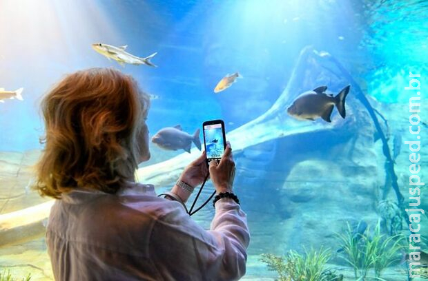 Bioparque reabre as portas no dia 9 de janeiro após período de manutenção