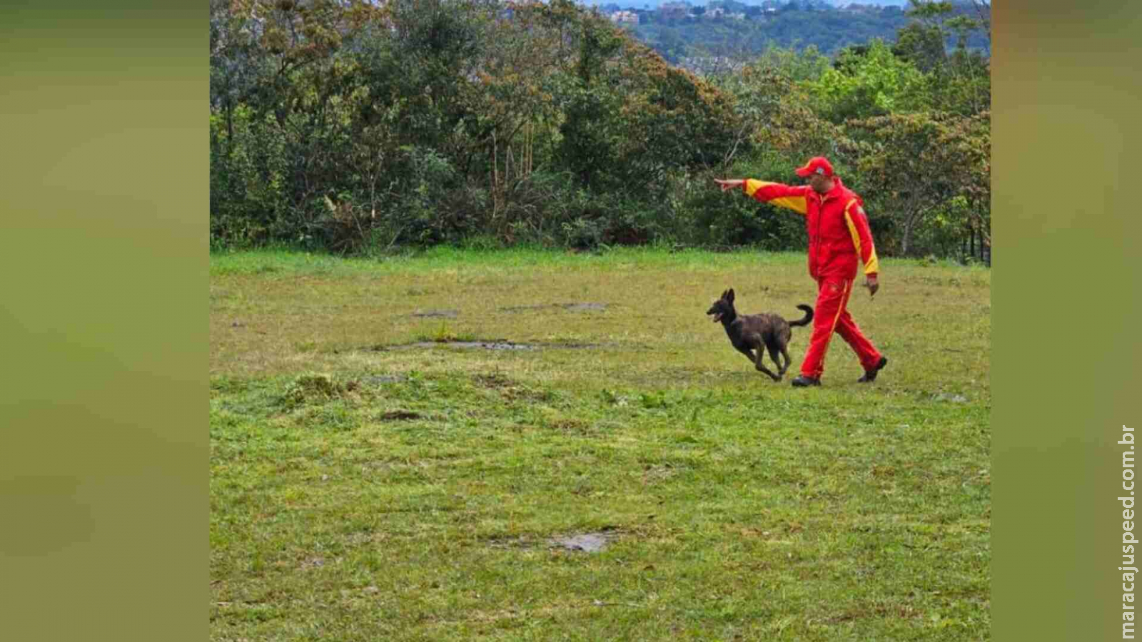 Bombeiros levam cadela Laika para ajudar nas buscas por indígena desaparecido no Pantanal