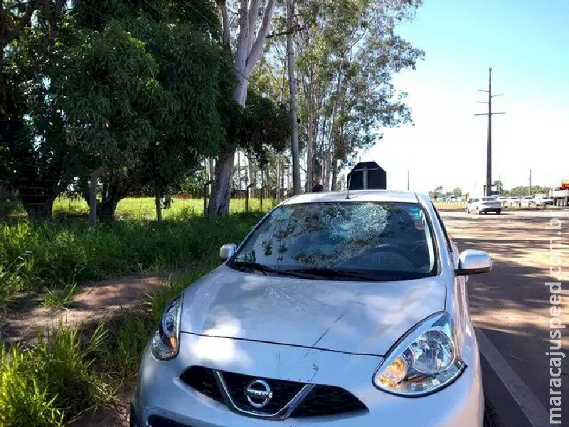 Ciclista é atropelado e vai parar em para-brisa de veículo na BR-163 em Campo Grande