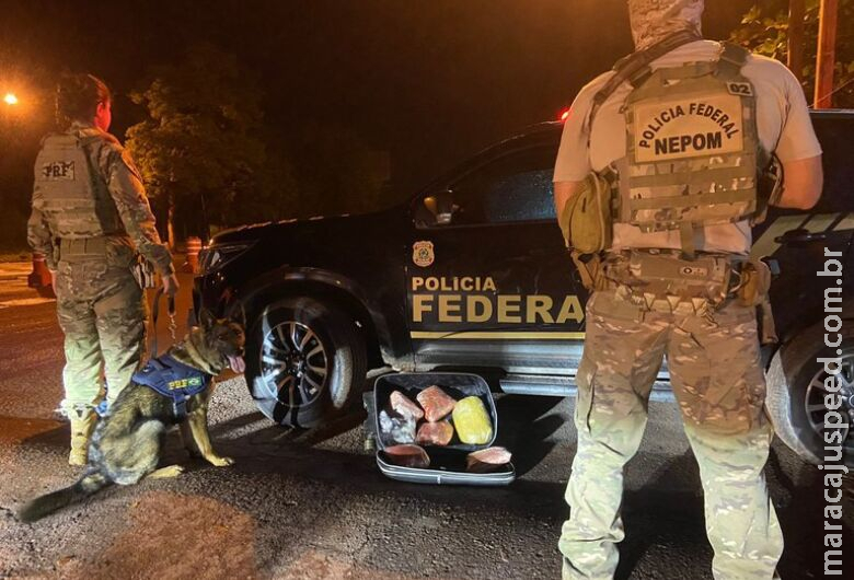 Com auxílio de cachorros, PRF prende traficante em Corumbá Com auxílio de cachorros, PRF prende traficante em Corumbá