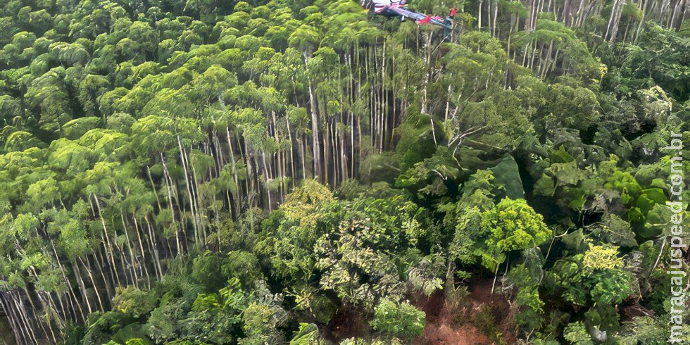 Corpos de ocupantes de helicóptero são encontrados junto aos destroços