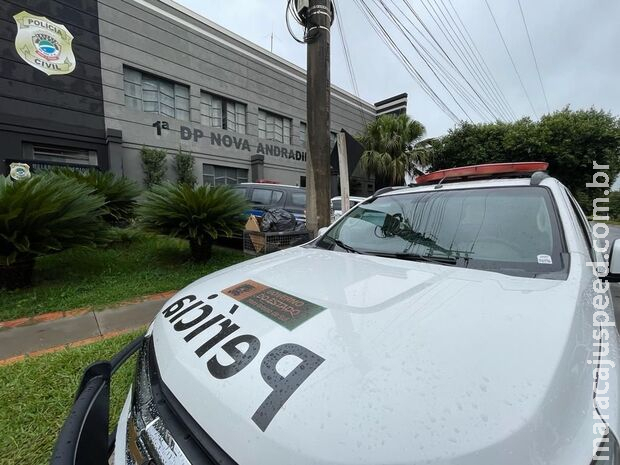 Feto é encontrado em via pública de Nova Andradina Feto é encontrado em via pública de Nova Andradina