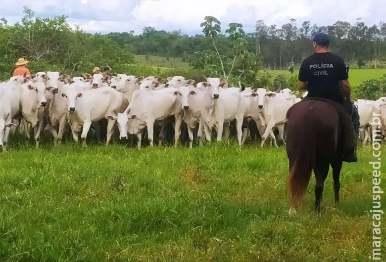 Gado roubado por Gado roubado por