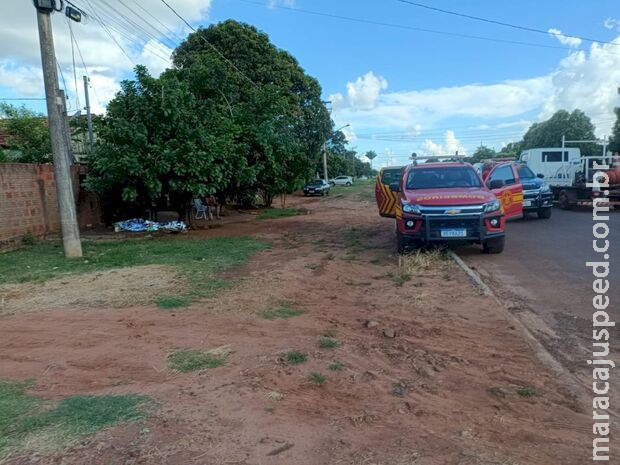 Homem é encontrado morto embaixo de árvore em Caarapó Homem é encontrado morto embaixo de árvore em Caarapó
