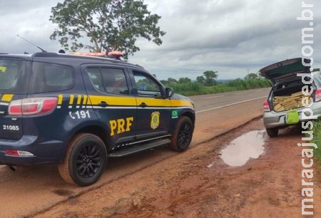 Homem é preso com carga de maconha e ampolas de testosterona