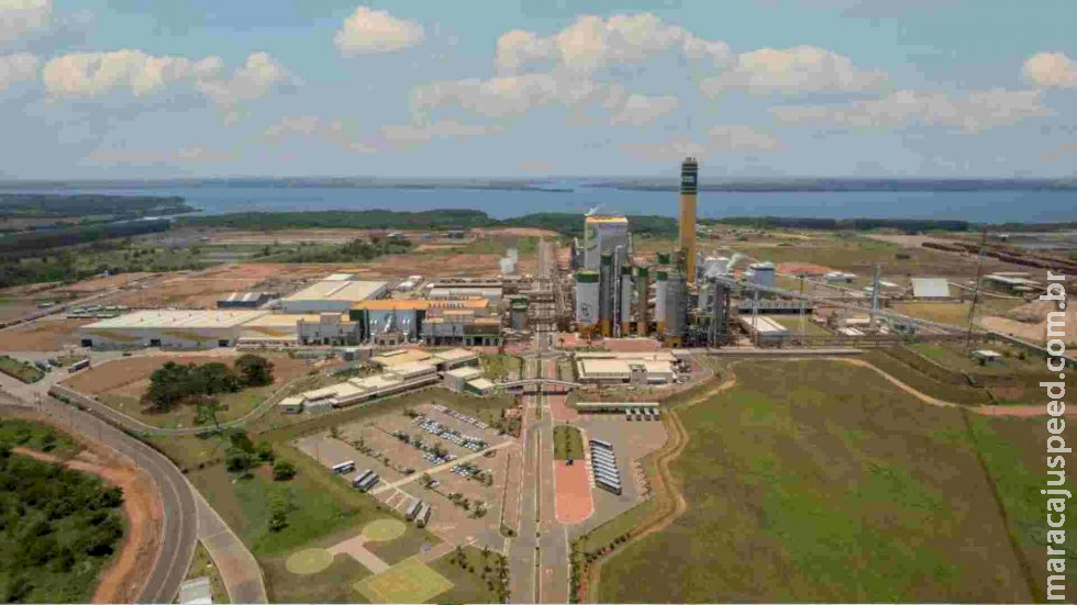 Incra de Mato Grosso do Sul tenta evitar a venda da Eldorado para a Paper Excellence