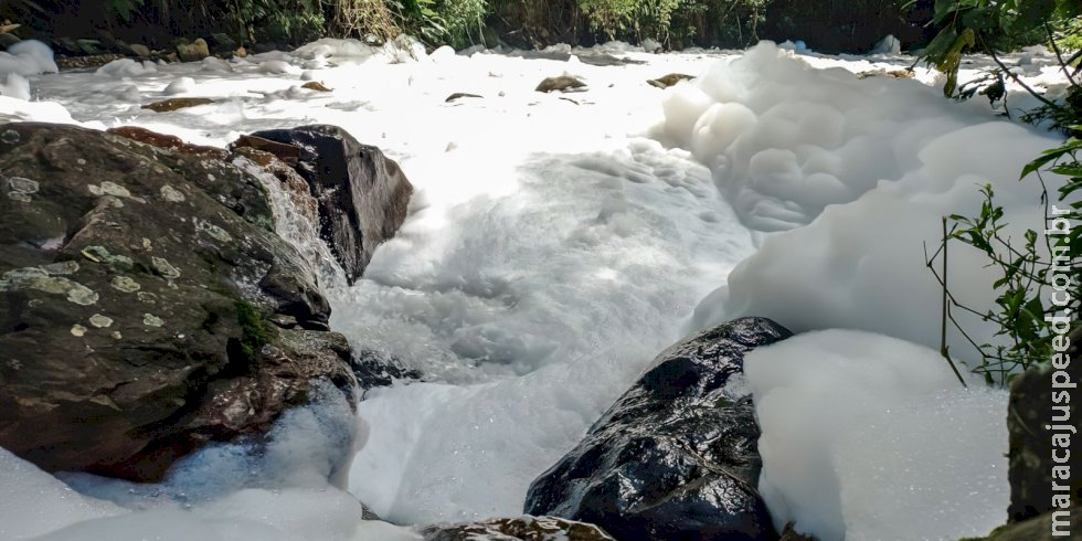 Joinville decreta emergência após vazamento de ácido sulfônico Joinville decreta emergência após vazamento de ácido sulfônico