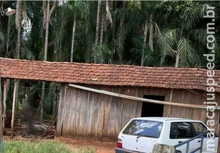 "Ninguém da equipe já viu algo assim", diz delegada sobre idosa que agonizou 18h "Ninguém da equipe já viu algo assim", diz delegada sobre idosa que agonizou 18h