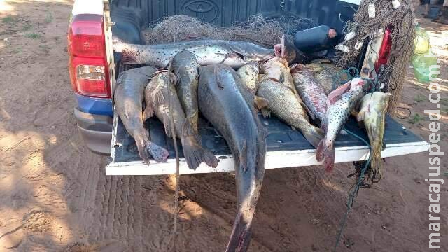 Operação tem 902 kg de pescado apreendidos e R$ 134 mil em multas