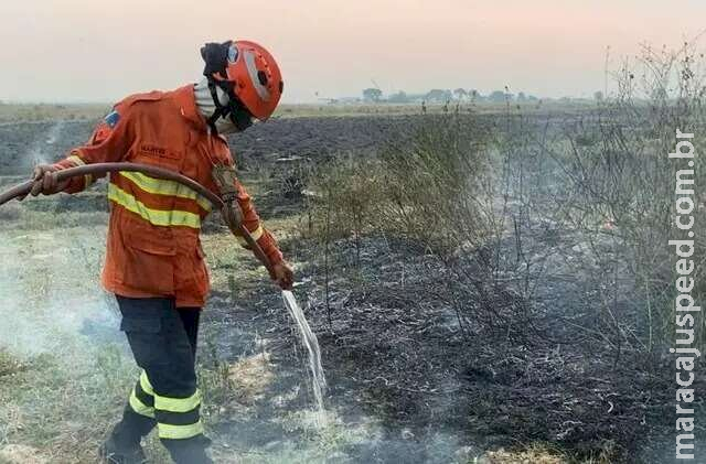 Pantanal e Cerrado estão entre biomas mais atingidos por queimadas em 2023 Pantanal e Cerrado estão entre biomas mais atingidos por queimadas em 2023