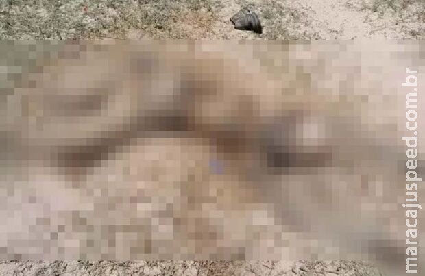Peão de comitiva é encontrado morto ao lado de mula em Corumbá Peão de comitiva é encontrado morto ao lado de mula em Corumbá