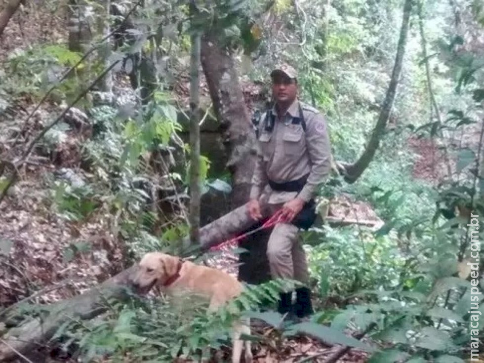 Peão está desaparecido há três dias após sair para ir em cachoeira em Alcinópolis