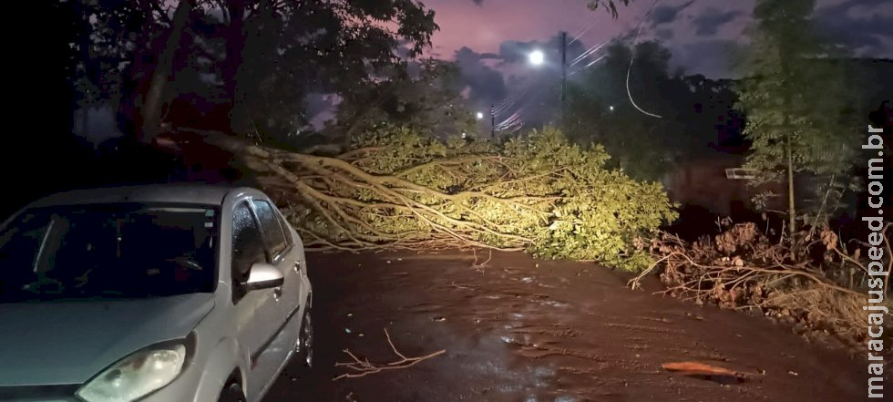 Período de chuvas acende alerta sobre os perigos dos acidentes elétricos dentro e fora de casa Período de chuvas acende alerta sobre os perigos dos acidentes elétricos dentro e fora de casa